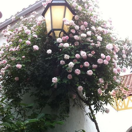 Patio Das Flores Ferreira Do Alentejo Ngoại thất bức ảnh