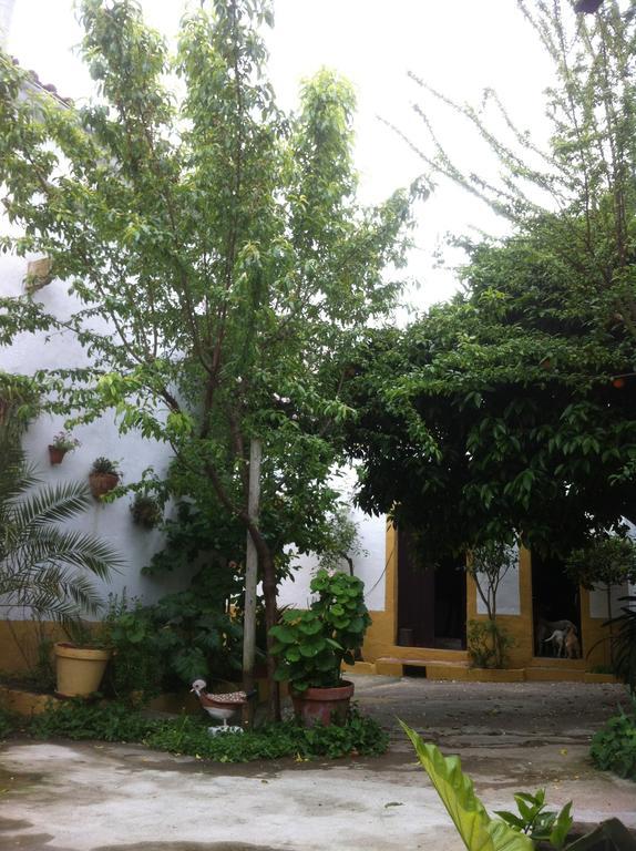 Patio Das Flores Ferreira Do Alentejo Ngoại thất bức ảnh