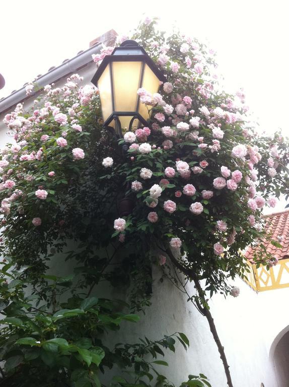Patio Das Flores Ferreira Do Alentejo Ngoại thất bức ảnh