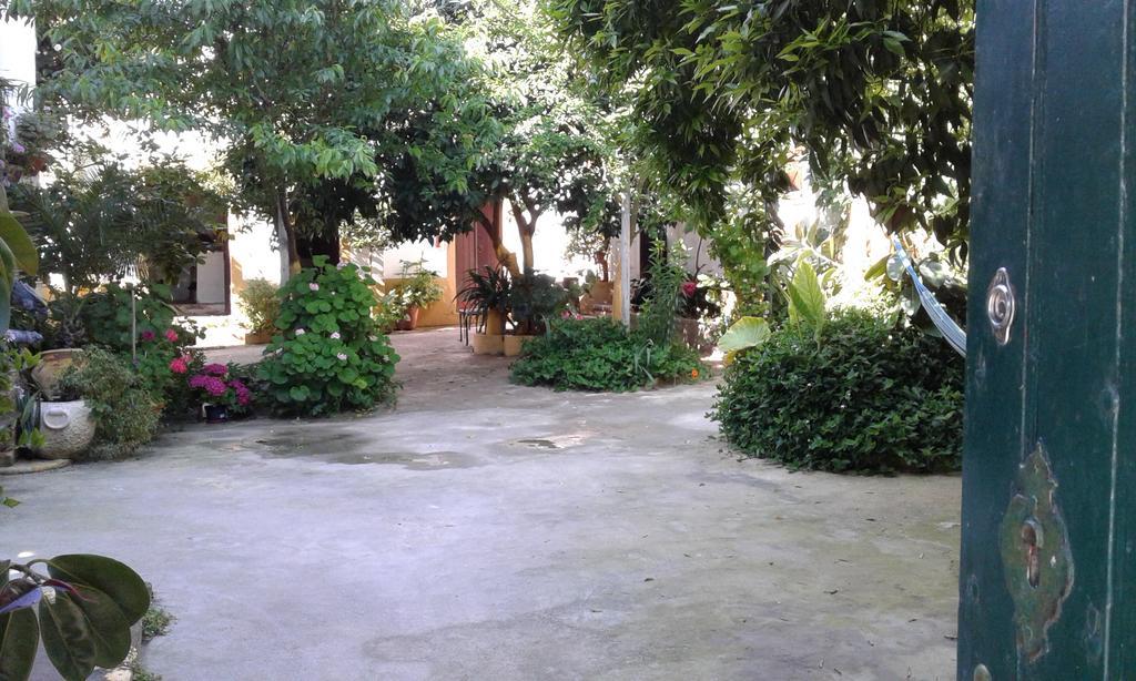Patio Das Flores Ferreira Do Alentejo Ngoại thất bức ảnh