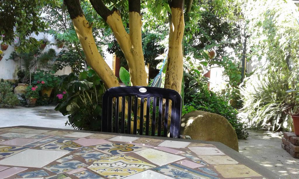 Patio Das Flores Ferreira Do Alentejo Ngoại thất bức ảnh