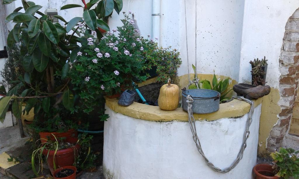 Patio Das Flores Ferreira Do Alentejo Ngoại thất bức ảnh