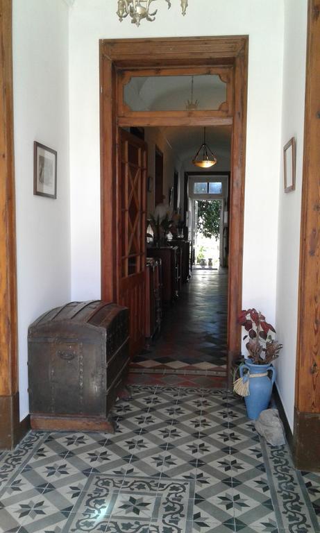 Patio Das Flores Ferreira Do Alentejo Ngoại thất bức ảnh